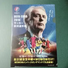 2016サッカー欧州選手権クリアファイル