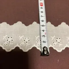 コットンレース　5m