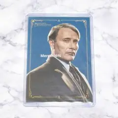 ファンタスティック・ビースト ファンタビ グリンデルバルド マッツ ♡