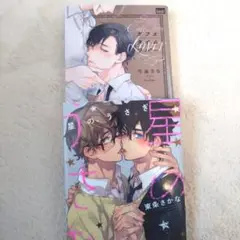 ボーイズラブ漫画2冊セット バラ売り可