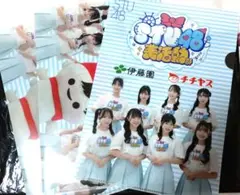 【未使用】STU48 チチヤスA4クリアファイル 3枚セット（柄2種類）