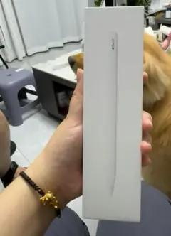 新品未開封Apple Pencil USB-C