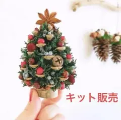 Item thumbnail for item 8e2e5369-9758-4bb7-9a96-3f4d395d8924