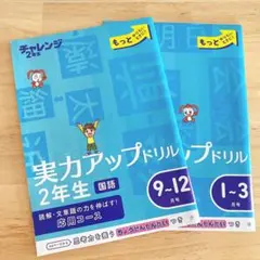 【未使用】実力アップドリル 2年生 国語 算数 2 冊セット