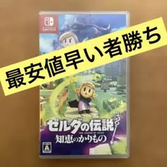 【Switch】ゼルダの伝説 知恵のかりもの
