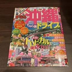 沖縄ちゅら海ドライブ '17