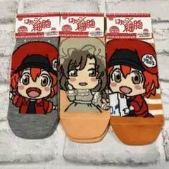 はたらく細胞 靴下 3足セット 19-24cm
