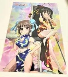 灼眼のシャナⅢ FINAL A4クリアファイル シャナ＆一美 水着