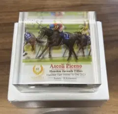 アスコリピチェーノ　阪神JF アクリルオブジェ　北村宏司　競馬