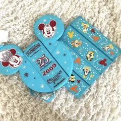 新品　東京ディズニーリゾート　クッションシート　2点　２５周年　折りたたみ