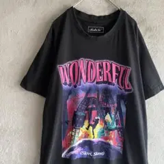 Mister Tee グラフィックTシャツ WONDERFUL プリント XL