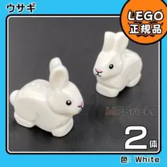Item thumbnail for item 080851fc-93d1-47a5-8dc1-5aab622d4aba