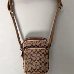 Item thumbnail for item 35f31920-22bd-4690-bd33-08cf12536dcf