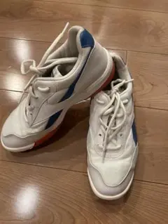 アサヒ室内ばき23.5