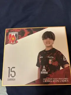 URAWA REDS LADIES SHIMADA 15 ミニ色紙