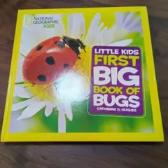 Little Kids First Big Book of Bugs