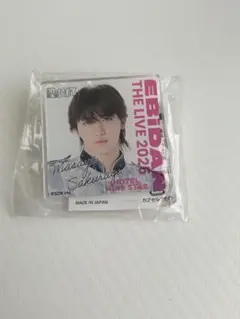 EBIDAN THE LIVE 2025 デコガチャ 桜木雅哉