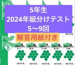四谷大塚 早稲田アカデミー 5年生組分けテスト 2024年度5回〜9回