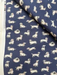 キャスキッドソン　ダックス　コットンダック　ハンドメイド用
