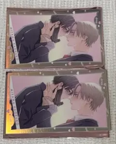 drap 25周年記念展 美山薫子 オーロラカード 2枚セット