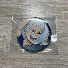 ハイキュー　キャラバッジコレクション　星海光来