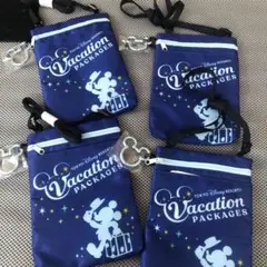ディズニーランド　カラビナ付　バケーションパッケージ　4つまとめ