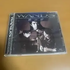 WANDS 時の扉