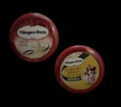 ハーゲンダッツ 缶バッジ