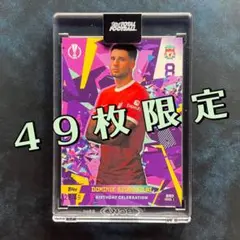 【49枚限定】 ソボスライ TTF 《Birthday Celebration》