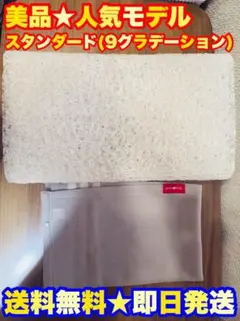 【美品★定価3万】BRAIN SLEEP PILLOW ブレインスリープ ピロー