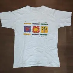 シングルステッチ カラフルデザイン Tシャツ
