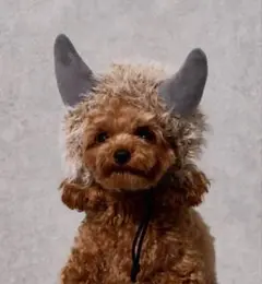 Item thumbnail for item d9e4debd-ee80-4c04-ab4e-693dbc82decf