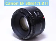 Item thumbnail for item cdb2c471-6f10-47cc-9b80-6101224f6412