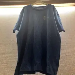 フルーツオブザルーム　fruit of the room tシャツ00sLサイズ