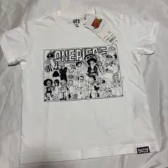 ONE PIECE 原画 110cm UT Tシャツ 半袖