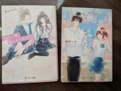 恋愛小説 2冊セット 相沢もせ 青山きらら