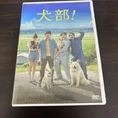 犬部!('21「犬部!」製作委員会)