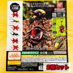 【◎2種セット】いきもの大図鑑 かぶとむし09