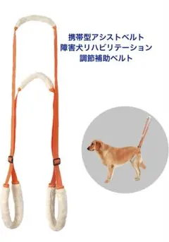 Item thumbnail for item 1594ac18-b4df-4092-8b96-9671abfcb514