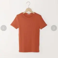 Steven Alan スティーブンアラン ネップティーシャツ