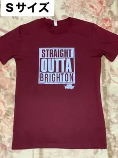 Tシャツ　Sサイズ　ニュージーランド土産