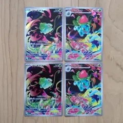 フシギダネ　フシギソウ　ARまとめ売り