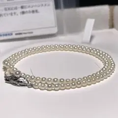 Item thumbnail for item c21fbbb1-68ca-46a1-822c-ddf55c260613