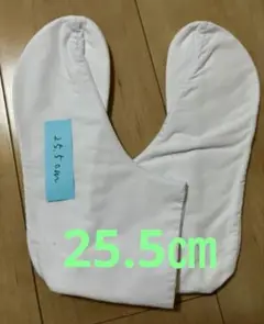 Item thumbnail for item 8dd4ccf1-f8ce-409c-8a9b-b223f6b87de0