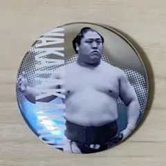 大相撲ガチャ　関取全員集合缶バッジ　若隆景（7月名古屋場所）