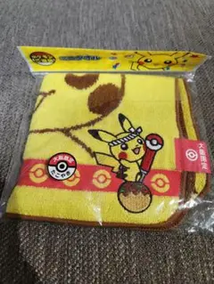 未開封 ポケモン ご当地ミニタオル　ピカチュウ イーブイ ミジュマル ニャース ポケモンご当地 ミニタオル 北海道 ピカチュウ&イーブイ: いそが