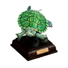 日本のカメ　特装版　ミシシッピアカミミガメ（幼体）　新品未開封