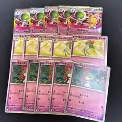 メガサーナイトex 進化ライン各5枚セット