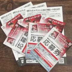 バレーボール　男子日本代表　2025 トレーディングカード　応募券　3枚