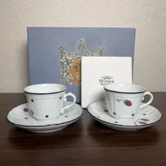 【未使用】リチャードジノリ　イタリアンポア　2客セット